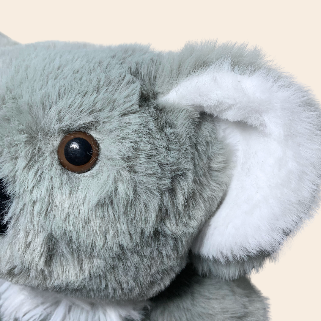 Koala Cozy Friends