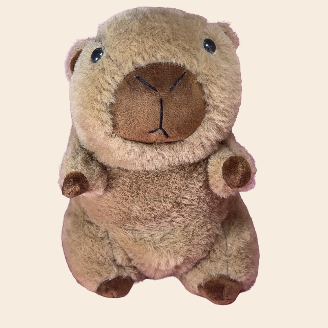 Capybara Cozy Friends