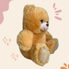Oso Cozy Friends