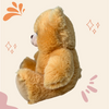 Oso Cozy Friends