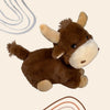 Toro Cozy Friends